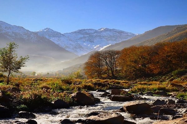 river in with trees and mountains