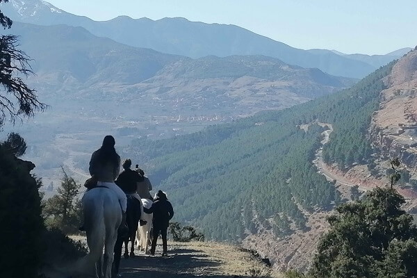 group of tourists riding horses in mountains