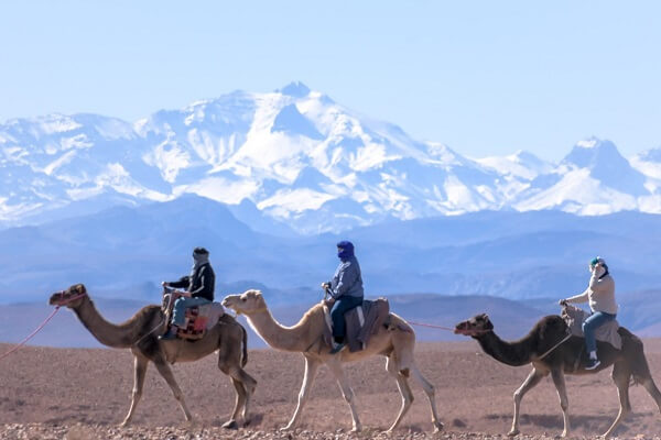 people riding camel in the mountains