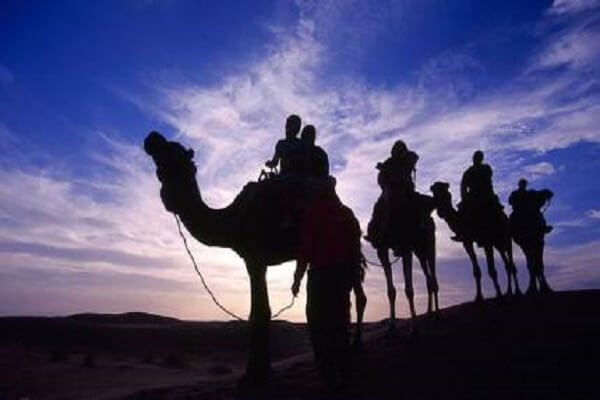 people riding camels