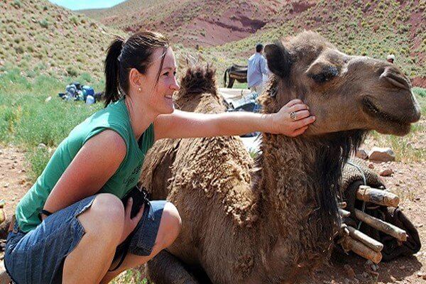 lady touching a camel
