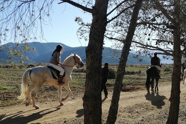 horse treks in morocco