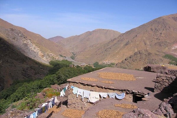 imlil valley 2 walnut on roof of house