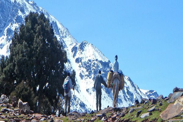 walking with a boy riding a mule in atlas mountains