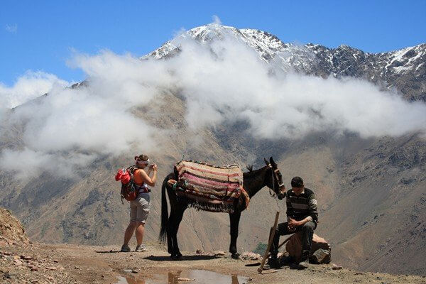 mule and tourist in mountain passe