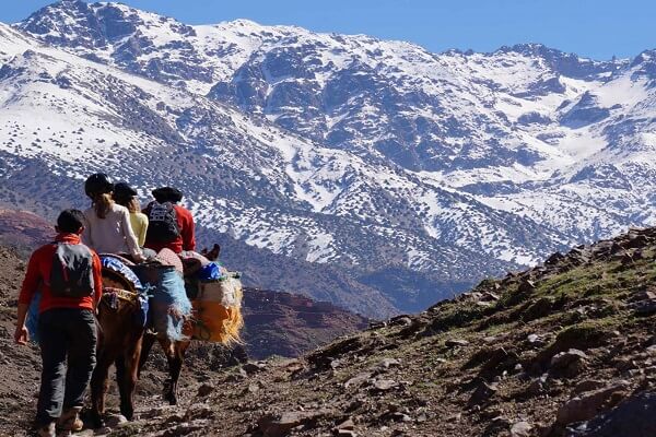 mule ride in mountains