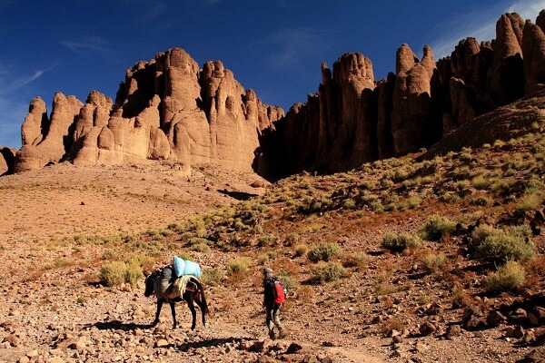 mule and man walking between mountains