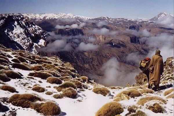 clouds and mountains with mule walking on mountain