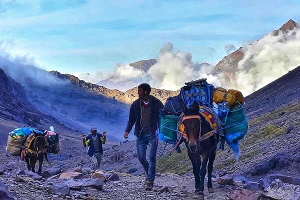 mule carring tourists luggage to toubkal