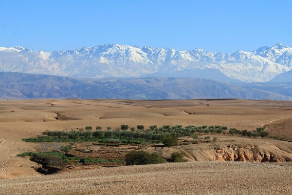 oiasis in agafay desert