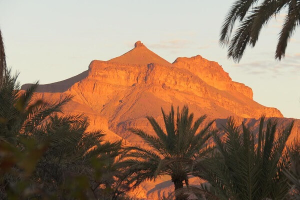 palm trees and mountains in back