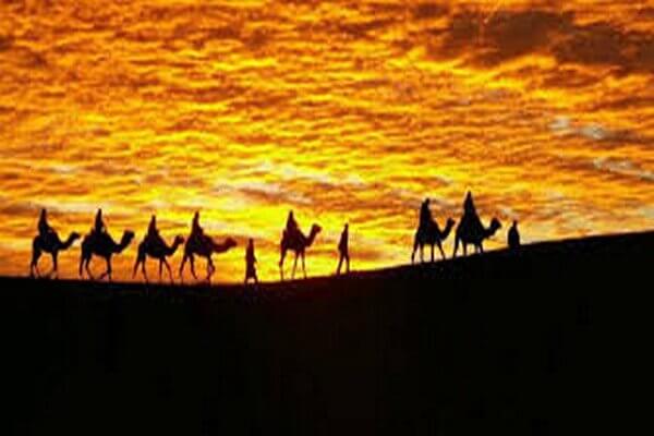 sunset and camel ride in sahara