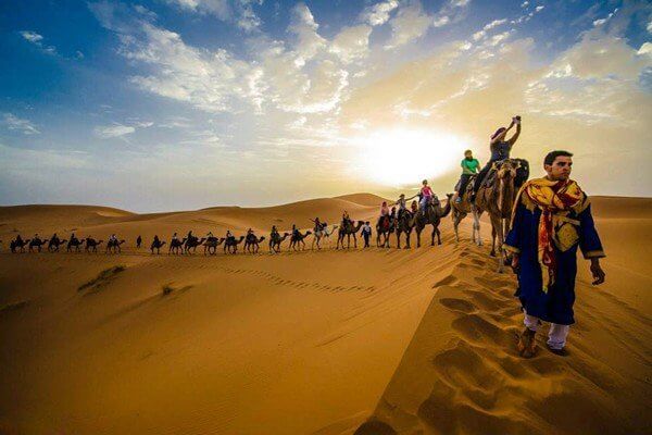 camel caravan on sahara