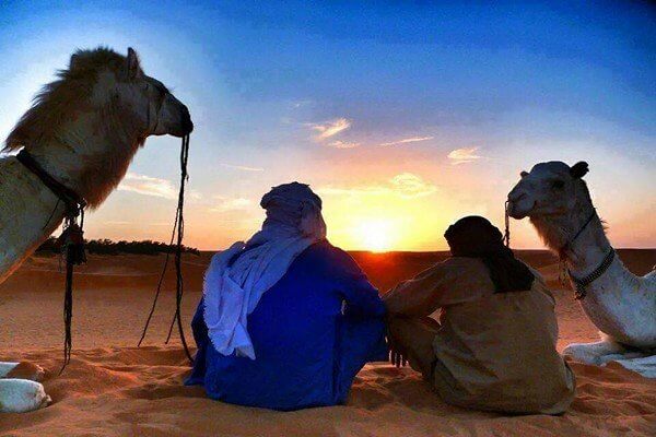 two people and two camels looking at the sunset