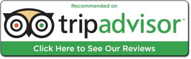 tripadvisor sticker