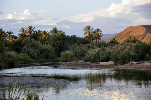 river and palm trees in daraa valley