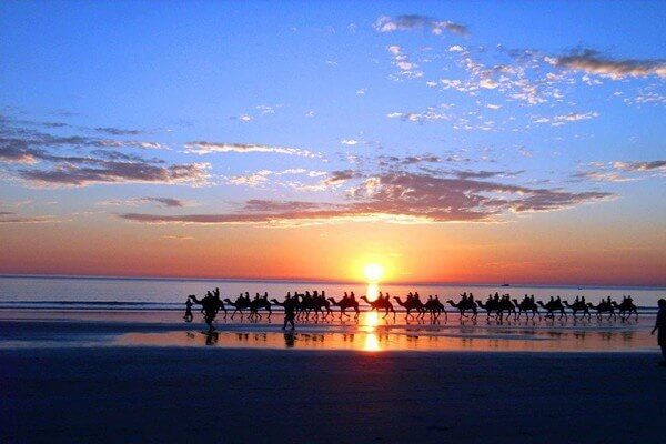 camel ride in beach in essaouira