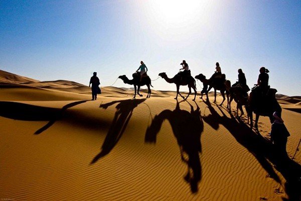 a man leading a group of camels in sahara desert