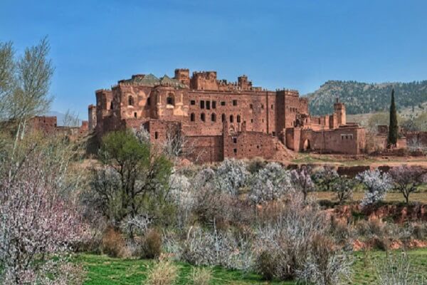 very old kasbah and cherry blossoms