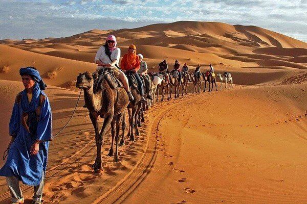 poeple riding camels in sahara desert in morocco