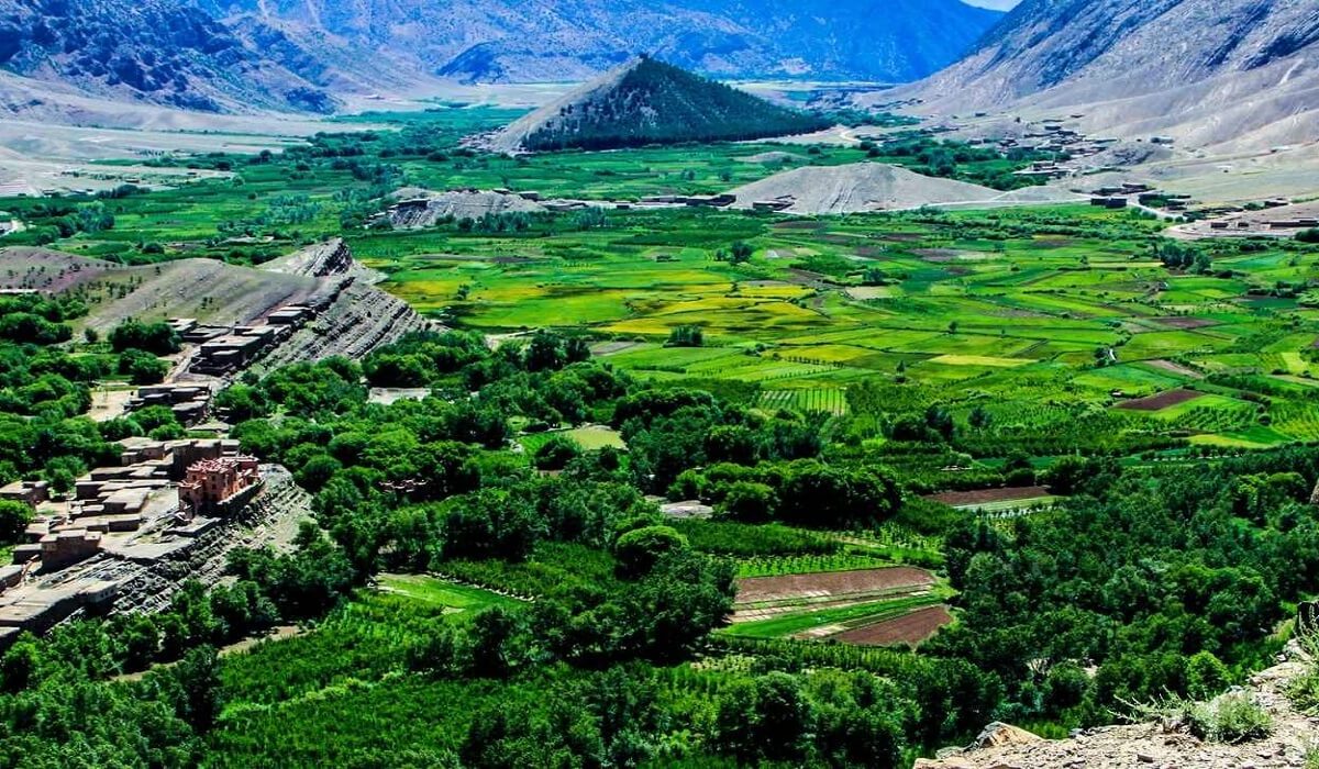 green flate river with aple trees
