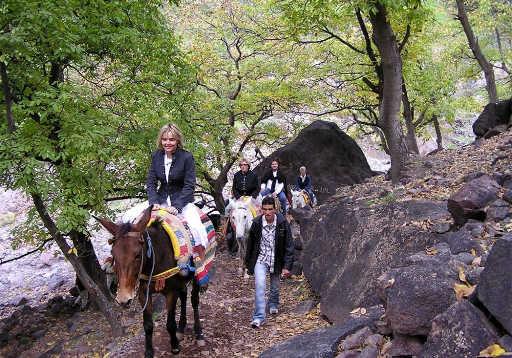mule ride in atlas mountains mule ride in atlas mountains