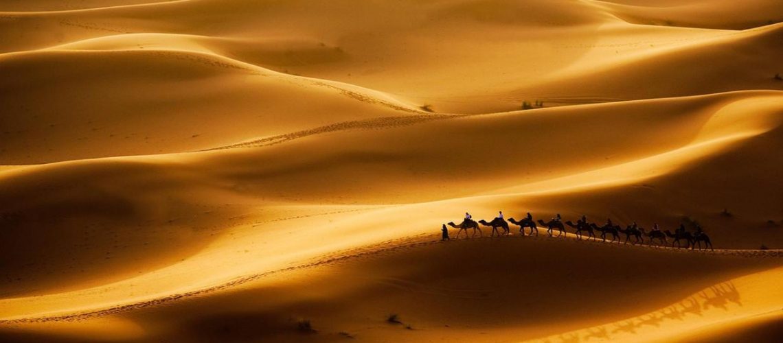 sahara-desert-camel-ride sahara-desert-camel-ride